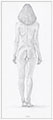 FemaleBack