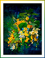 Flowercloud Dark
